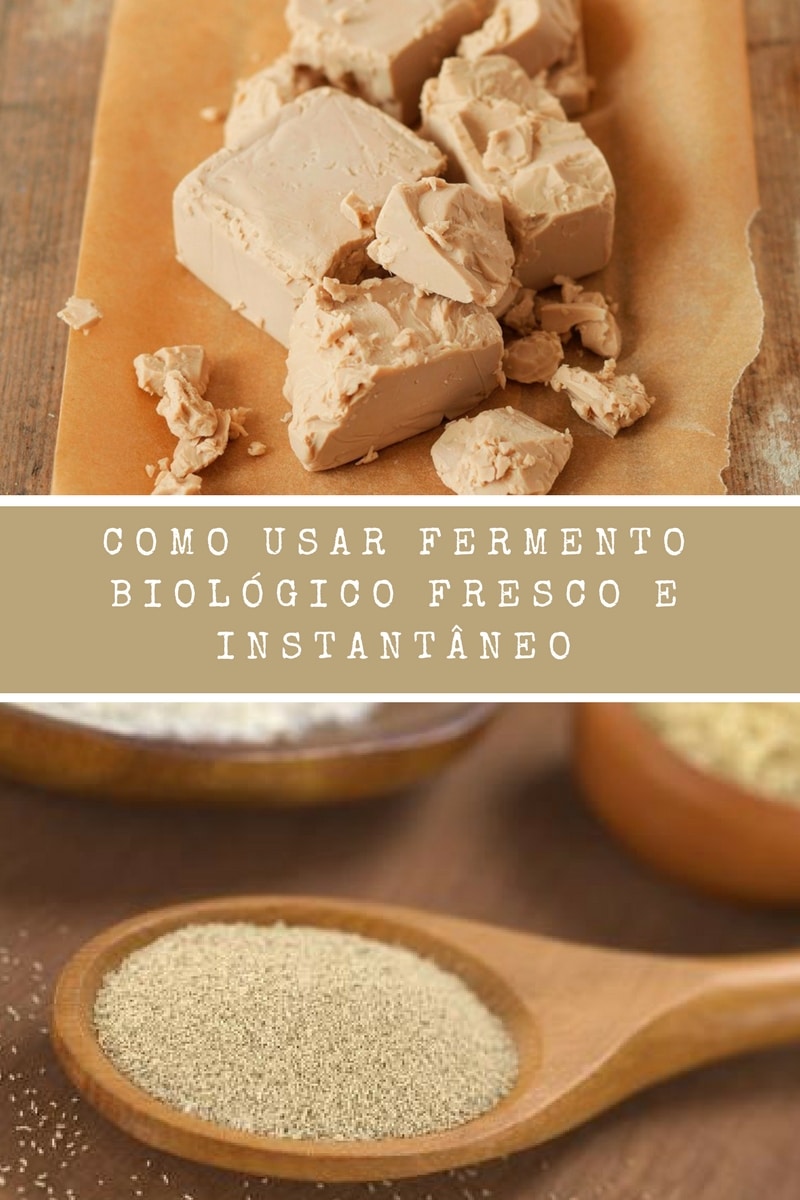 Como usar fermento biológico fresco e instantâneo Santo Legume