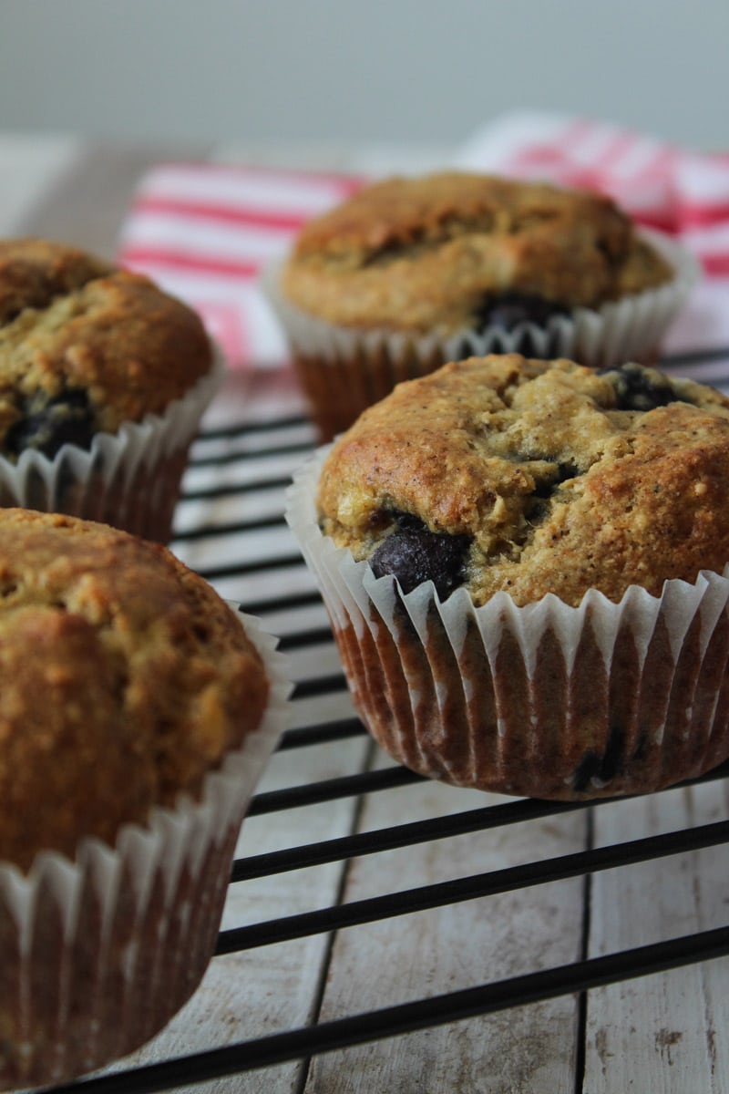 Muffin Vegano De Banana E Mirtilo Santo Legume